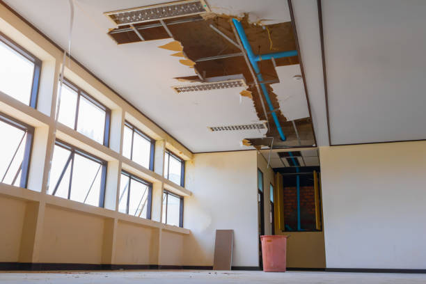 Best Flood damage cleanup  in Midvale, UT