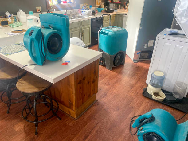 Trusted Midvale, UT Water damage restoration Experts