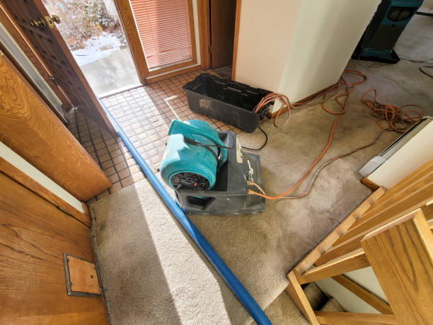 Best Fire Damage Restoration  in Midvale, UT