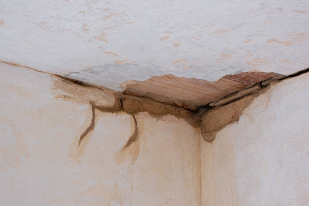 Best Water damage contractors near me  in Midvale, UT
