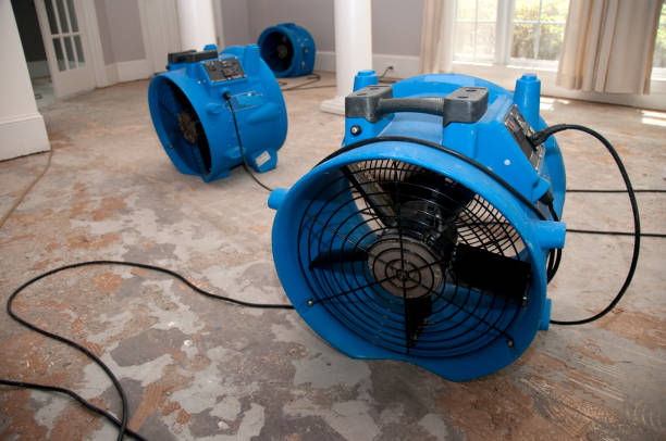 Best Water damage restoration near me  in Midvale, UT