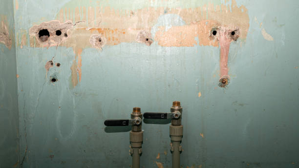 Best Local water damage restoration  in Midvale, UT