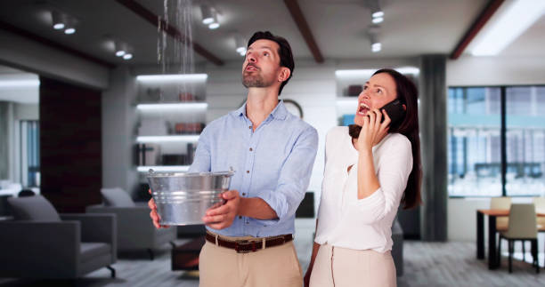 Best Basement water damage restoration  in Midvale, UT