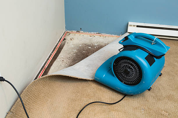 Reliable Midvale, UT Water damage restoration Solutions