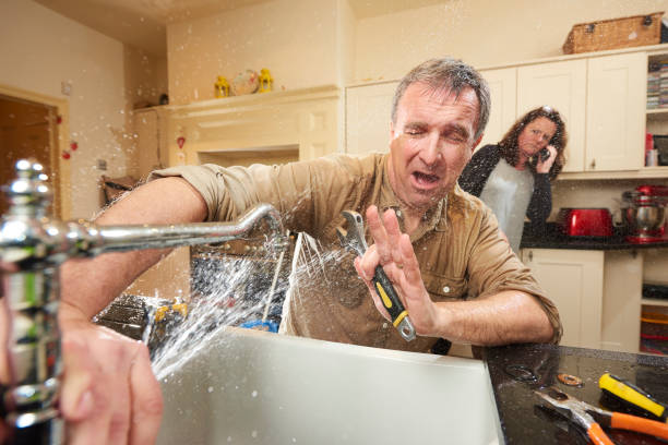 Best Professional water damage repair  in Midvale, UT